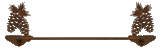 BA-8522 - Pine Cone Towel Bar