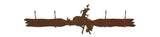 CH-5406 - Bronc Four Hook