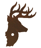 DP-1268 - Whitetail Deer Drawer Pull