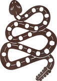 WA-4116 - Southwest Rattler Wall Art 44"