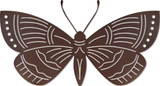WA-4121 - Moth Wall Art 45"