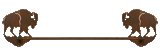 BA-8010 - Buffalo Towel Bar