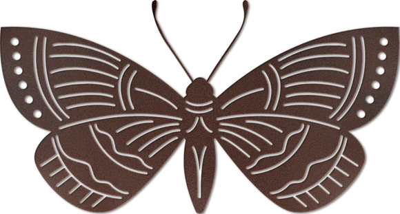 WA-5721 - Moth Wall Art 58