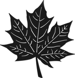 WA-5706 - Maple Leaf Wall Art 50"